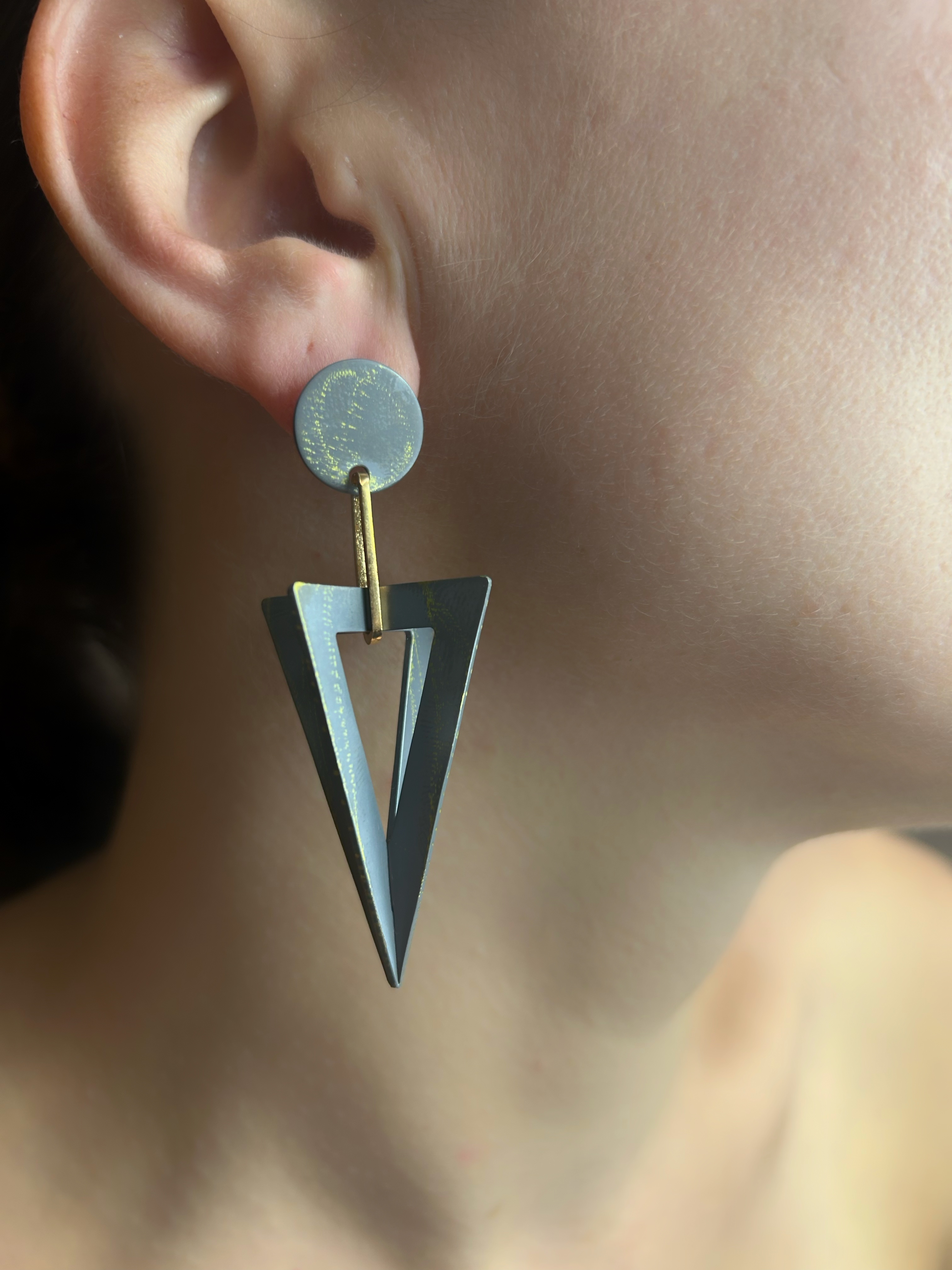 Titanium Earrings